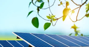 solar panels under tree